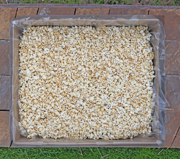 BULK KETTLE KORN